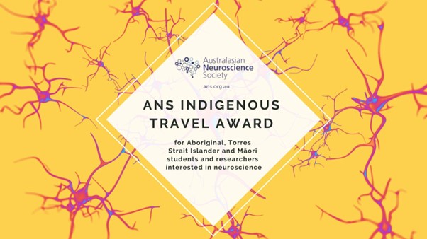 ANS Indigenous Travel Awards image